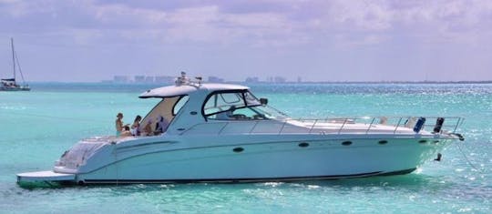 Exclusive Giant 60ft Sundancer Motor Yacht In Cancún, Quintana Roo