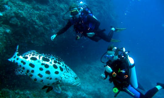 Enjoy Diving Trips at Mafia Island, Tanzania