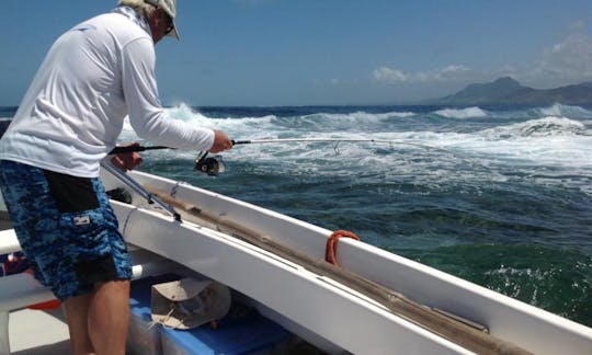 Fishing Charters in Tamarin, Rivière Noire