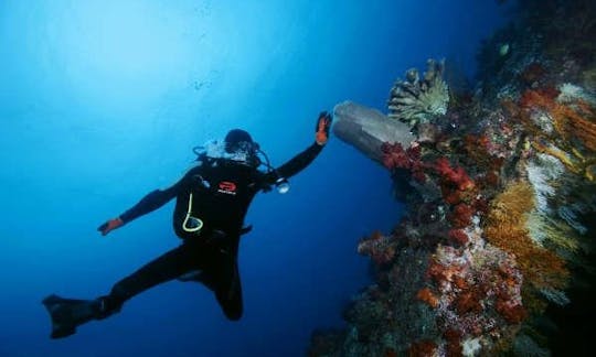 Disfrute de las vacaciones de buceo perfectas en Pacific Harbour, Fiji