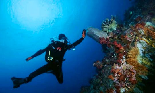 Enjoy the Perfect Scuba Diving Vacation in Pacific Harbour, Fiji