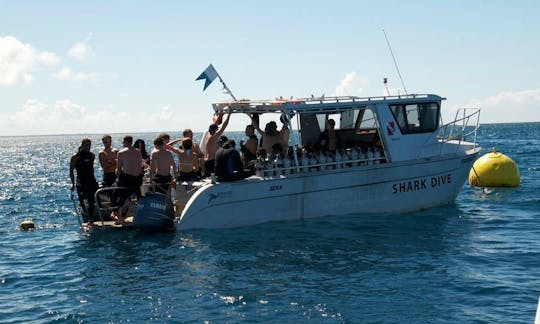 Disfrute de las vacaciones de buceo perfectas en Pacific Harbour, Fiji