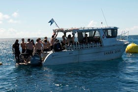 Enjoy the Perfect Scuba Diving Vacation in Pacific Harbour, Fiji
