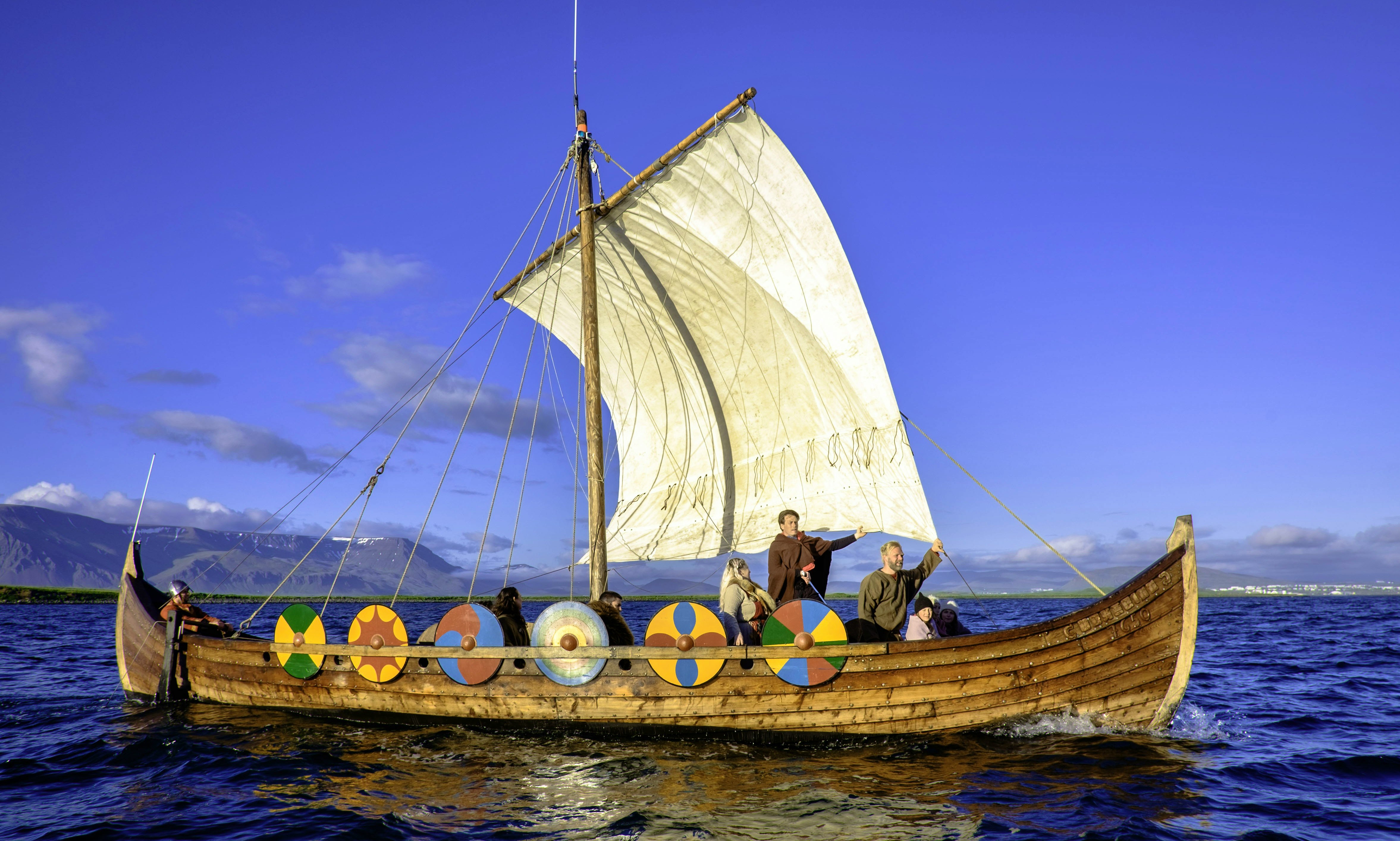 viking boat trip