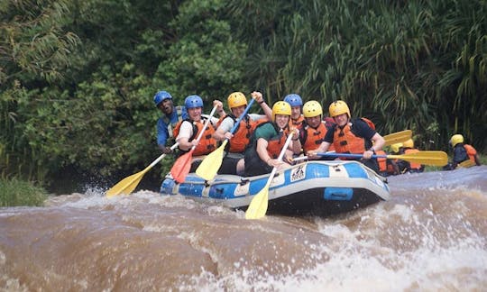 Profitez d'excursions en rafting dans le comté de Kirinyaga, au Kenya