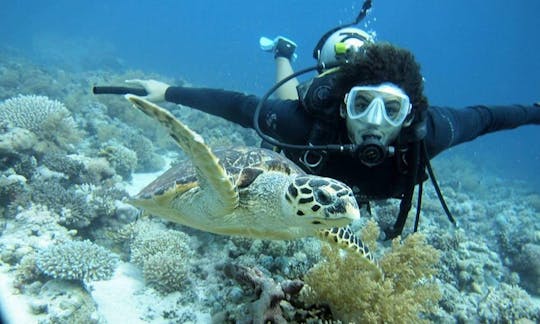 Diving Trips and Courses in Red Sea Governorate Egypt