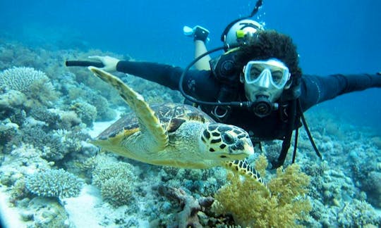 Diving Trips and Courses in Red Sea Governorate Egypt