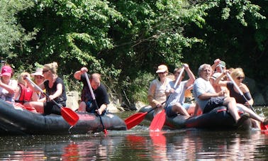 Recorrido por la vida silvestre en Linz