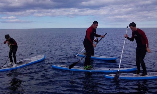 Alugue pranchas de stand up paddle em Alnwick, Inglaterra