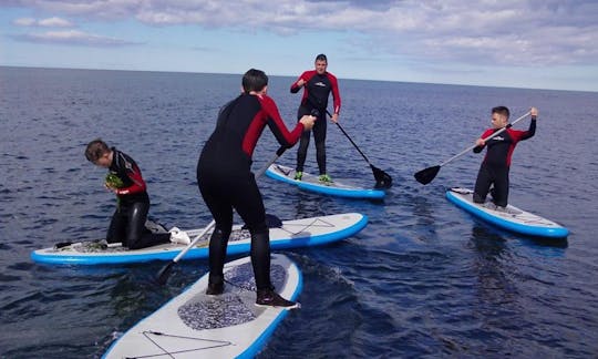 Alugue pranchas de stand up paddle em Alnwick, Inglaterra