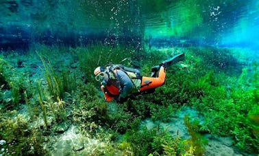 See the Underwaterworld! Book Diving Trips and Lessons in Oberösterreich, Austria