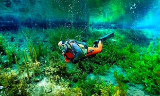 See the Underwaterworld! Book Diving Trips and Lessons in Oberösterreich, Austria