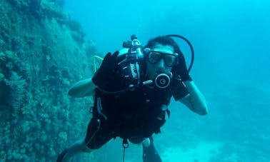 Disfruta de los cursos de buceo en Jeddah, Arabia Saudí