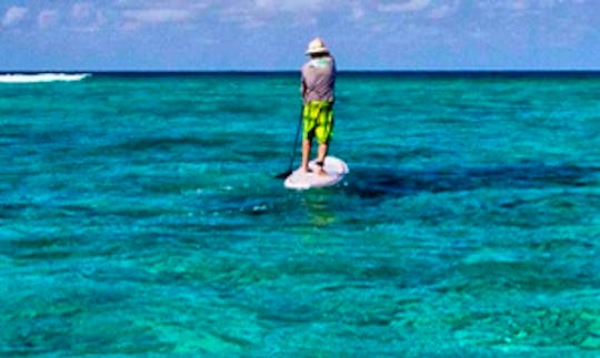 Enjoy Stand Up Paddle Board Rental & Tours in Zanzibar, Tanzania