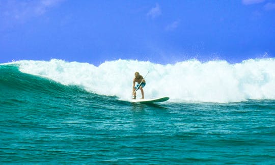 Enjoy Surf Board Rental & Safaris in Zanzibar, Tanzania