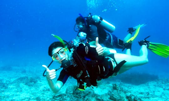 Enjoy Diving Trips and Courses in Nardò, Italy