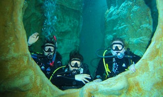 Be a certified diver and explore the vibrant marine life!