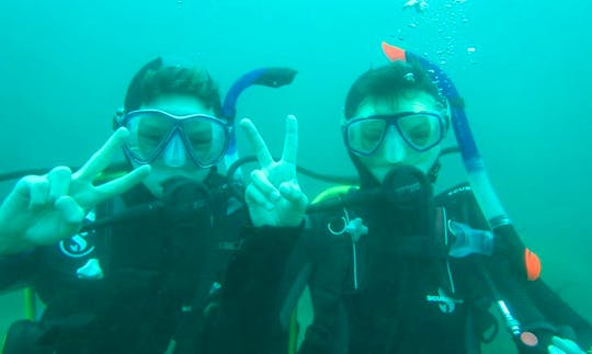Be a certified diver and explore the vibrant marine life!