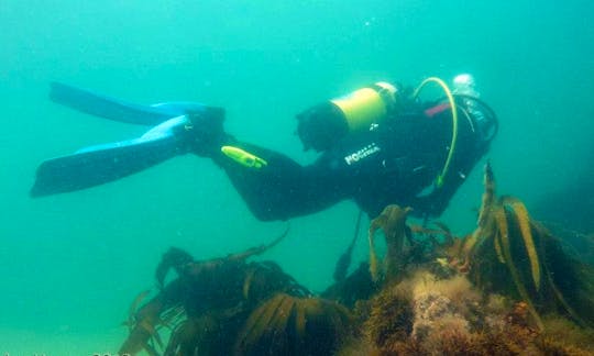 Book Diving Courses in Worcester, England