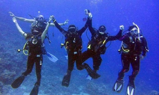 Excursiones de buceo y cursos de buceo para principiantes en la gobernación del Mar Rojo, Egipto