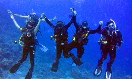 Diving Excursions and Diving Courses for Beginners in Red Sea Governorate, Egypt
