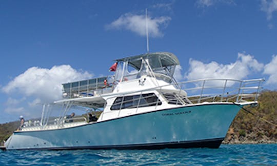 Snorkeling 46ft Newton  Dive/ Passenger Boat In Fajardo, Puerto Rico