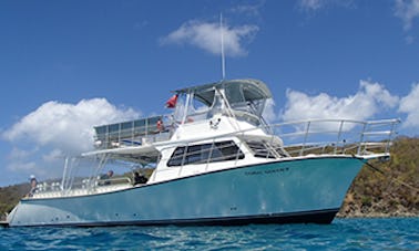 Snorkeling 46ft Newton  Dive/ Passenger Boat In Fajardo, Puerto Rico