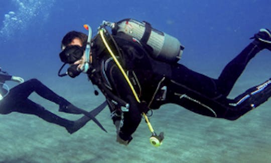 カナリア諸島のアバデスでPADIコースをお楽しみください