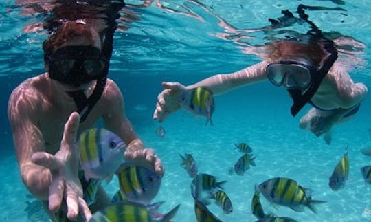 Enjoy Diving Trips and Courses at Nusa Dua in Denpasar, Bali