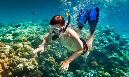 Enjoy Diving Trips and Courses at Nusa Dua in Denpasar, Bali