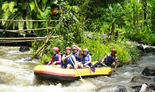 Enjoy Rafting Trips on Telaga Waja River in Denpasar, Bali