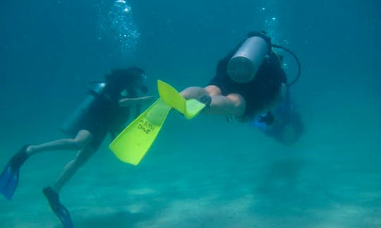 Enjoy Diving Lessons in Pahang, Malaysia