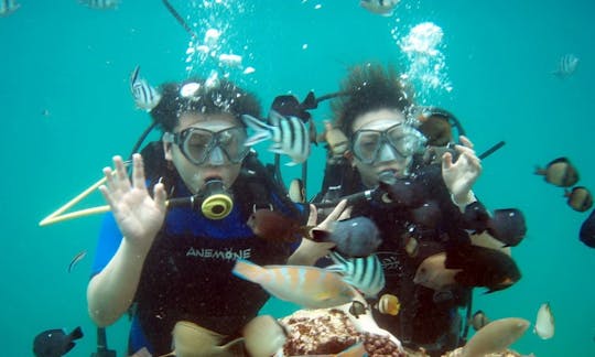 Enjoy Diving Trips and Courses at Nusa Dua in Denpasar, Bali