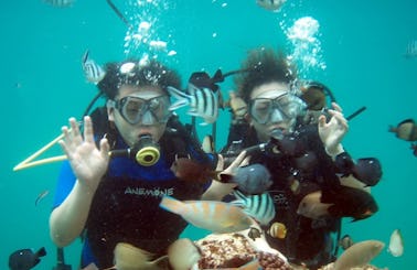 Enjoy Diving Trips and Courses at Nusa Dua in Denpasar, Bali