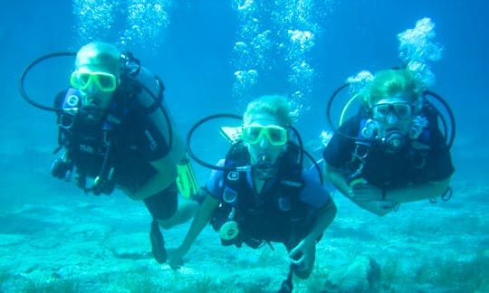 Enjoy Diving Courses in Paralimni, Protaras