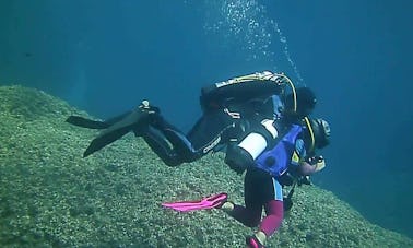 Enjoy Diving Trips and Courses in Lavagna, Liguria