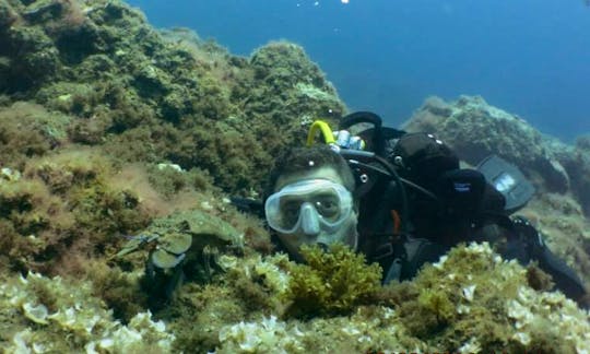 Enjoy Diving Lessons and Tours in Tenerife, Canarias, Spain