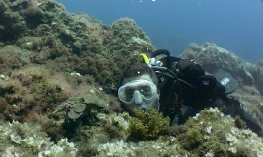 Enjoy Diving Lessons and Tours in Tenerife, Canarias, Spain