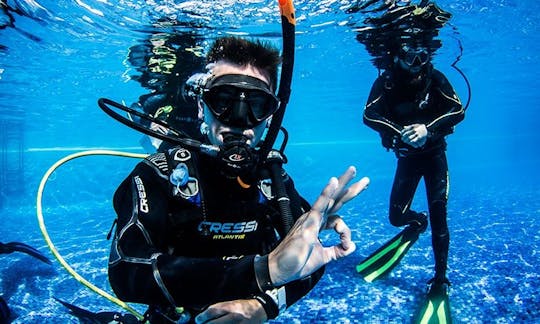 Enjoy Diving Lessons and Tours in Tenerife, Canarias, Spain