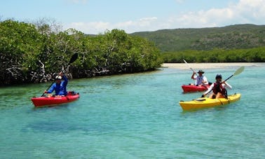 Disfruta de recorridos individuales en kayak en Hanoi, Vietnam