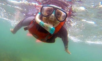 Enjoy Snorkeling Tours in Rameswaram, Tamil Nadu