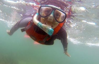 Enjoy Snorkeling Tours in Rameswaram, Tamil Nadu