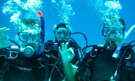 Enjoy Diving Trips & Courses in Manila, Philippines