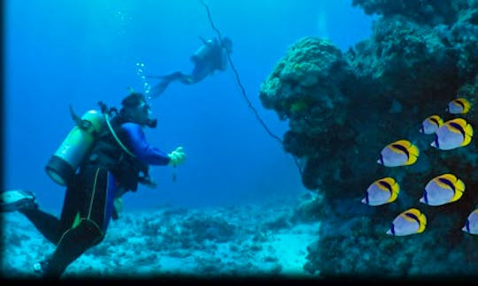 Enjoy Diving Trips & Courses in Manila, Philippines