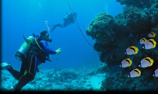 Enjoy Diving Trips & Courses in Manila, Philippines