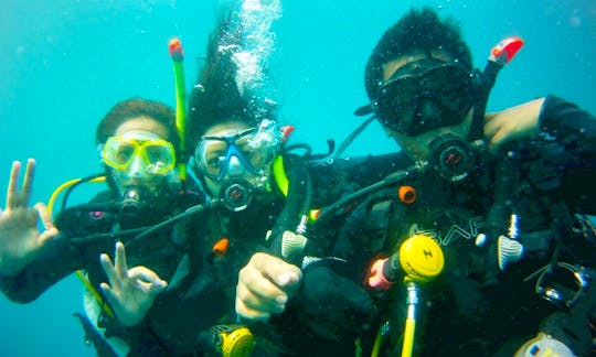Diving Trips (Only For Certified Divers) in Jakarta, Indonesia