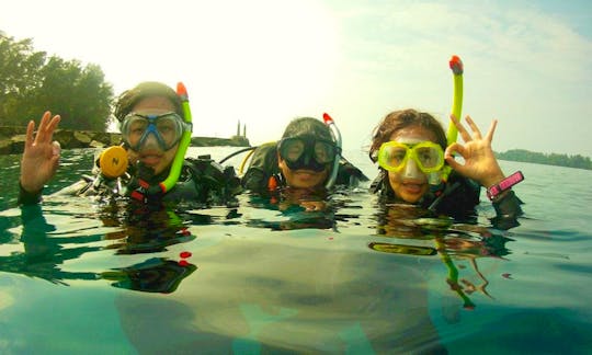 Diving Trips (Only For Certified Divers) in Jakarta, Indonesia