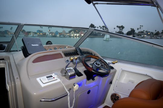 Yacht Sea Ray de luxe de 36 pieds avec système audio personnalisé