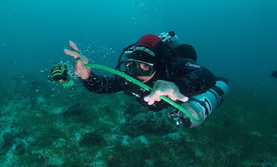 Profitez de voyages et de cours de plongée sur la plage de Rawai à Phuket