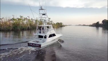 Carta de pesca de atum rabilho de dia inteiro